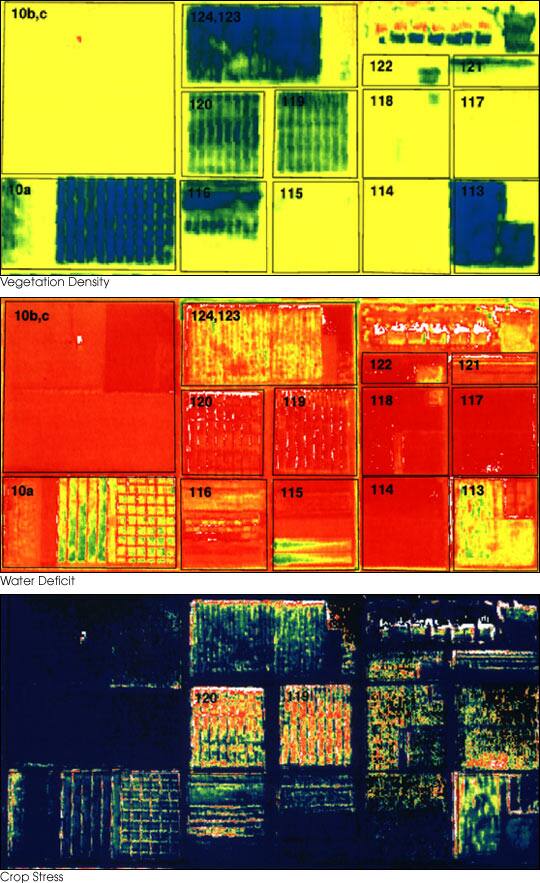 Field orthomosaic viewed on the interactive map